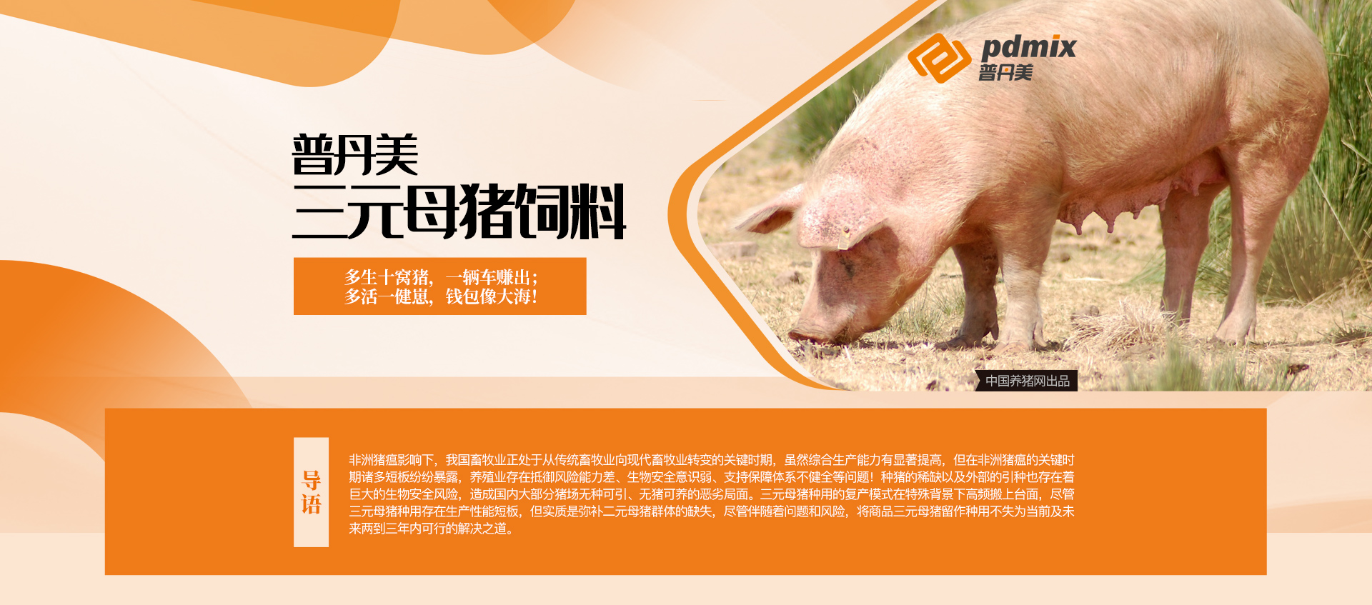 普丹美三元母猪饲料