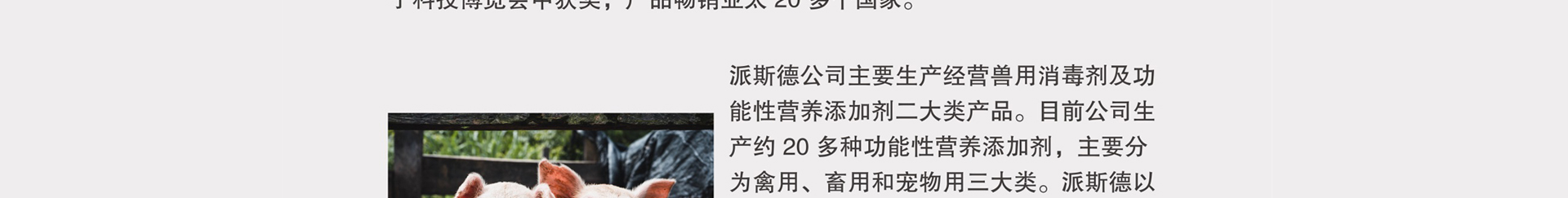 中国电子游艺网站下载安装

