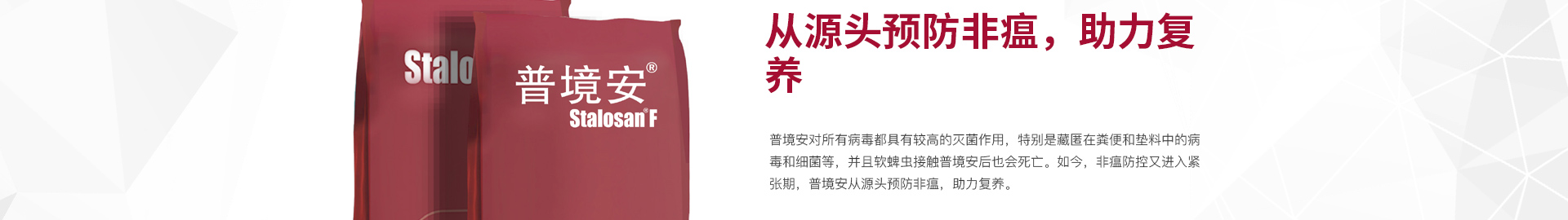中国电子游艺网站下载安装
