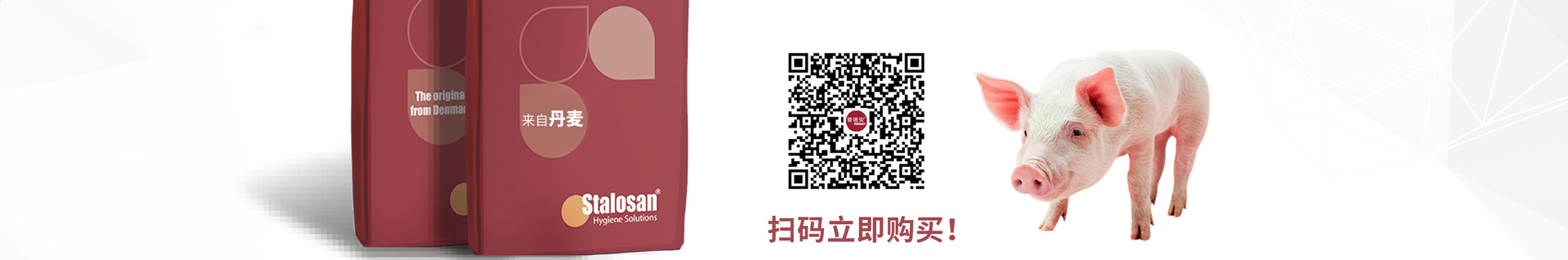 中国电子游艺网站下载安装
