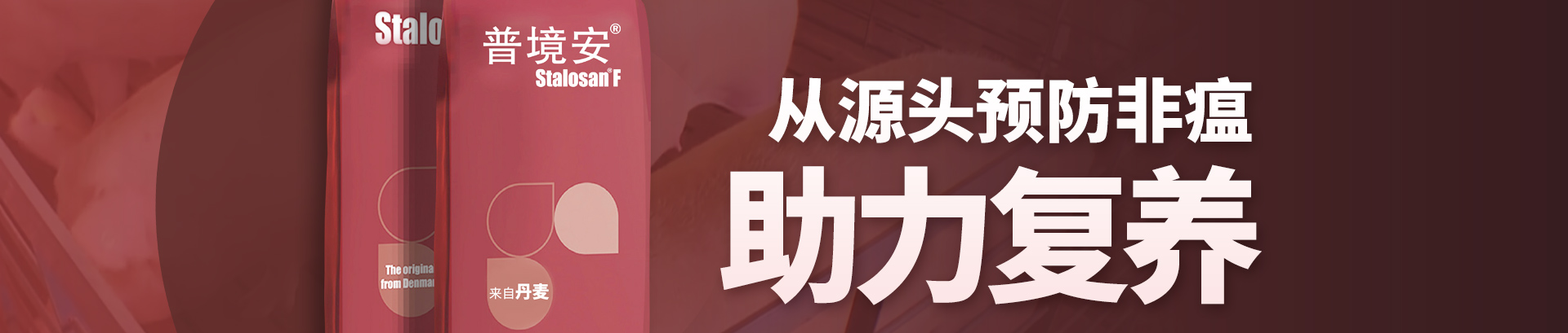 中国电子游艺网站下载安装
