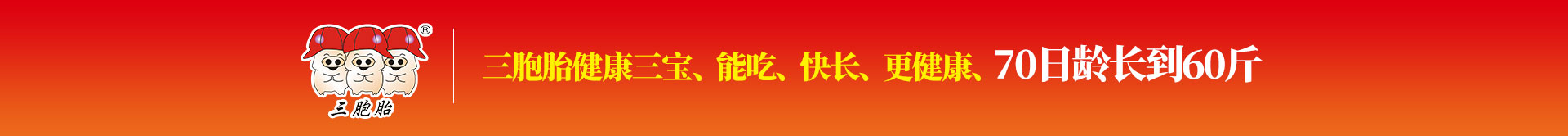 双胞胎健康三宝、能吃、快长、更健康