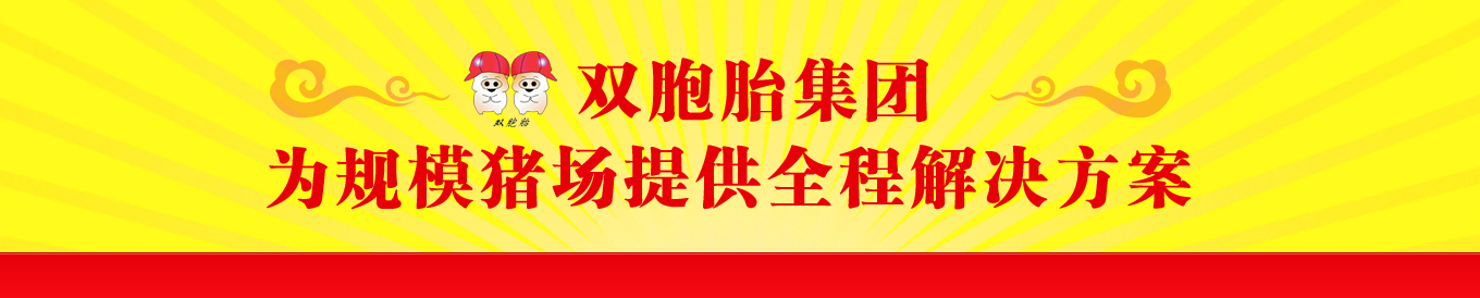 双胞胎集团，为规模电子游艺网站
提供全程解决方案