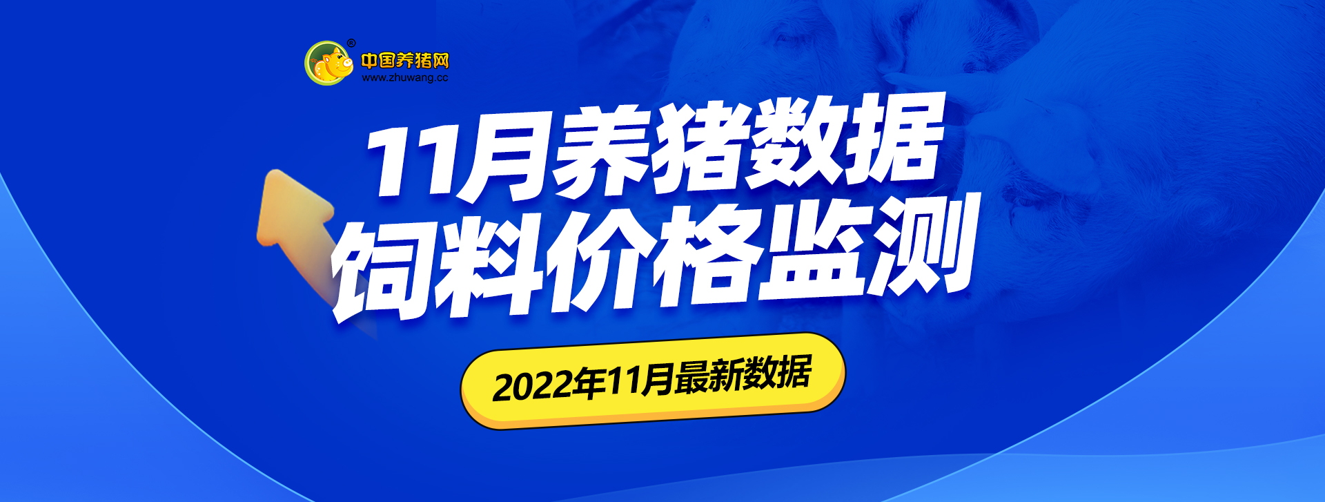 中国电子游艺网站下载安装
