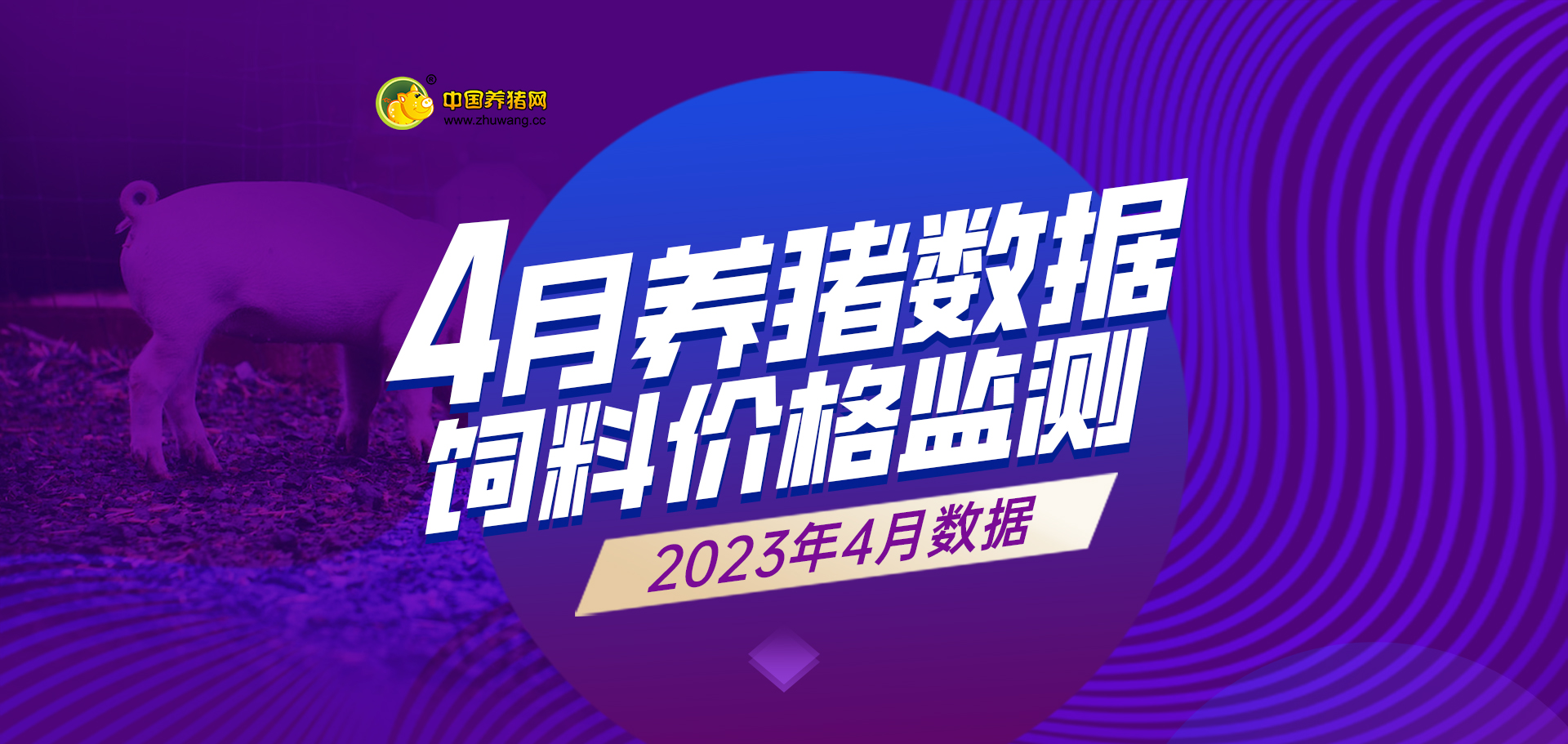 中国电子游艺网站下载安装
