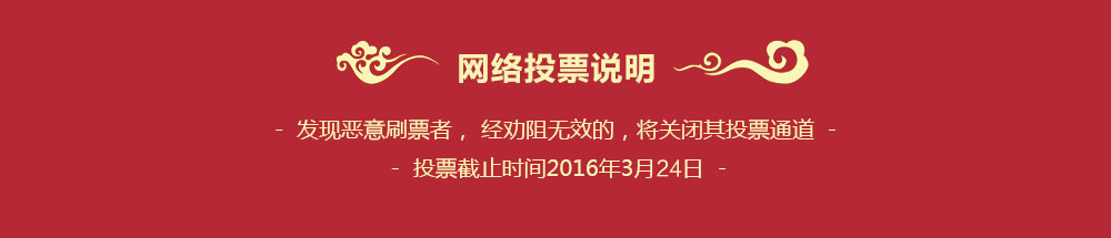网络投票说明