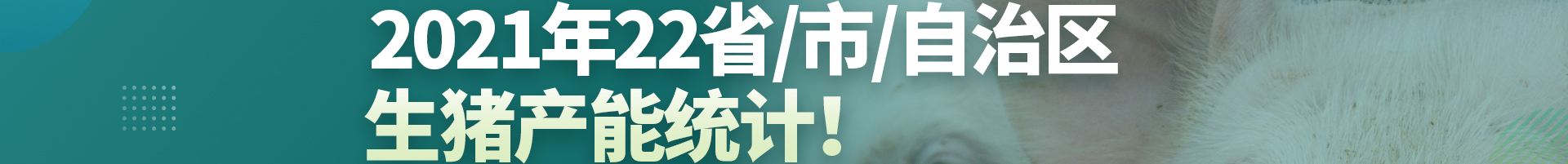中国电子游艺网站下载安装
