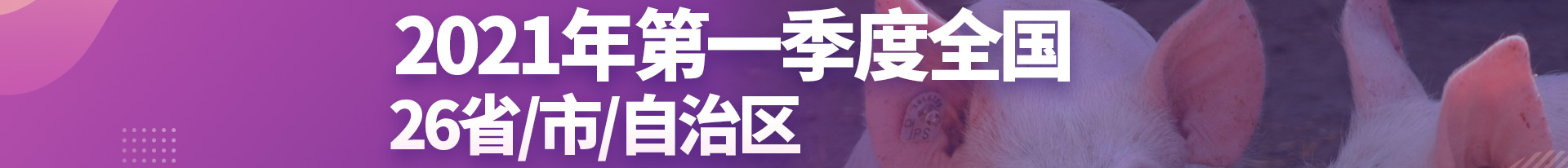中国电子游艺网站下载安装
