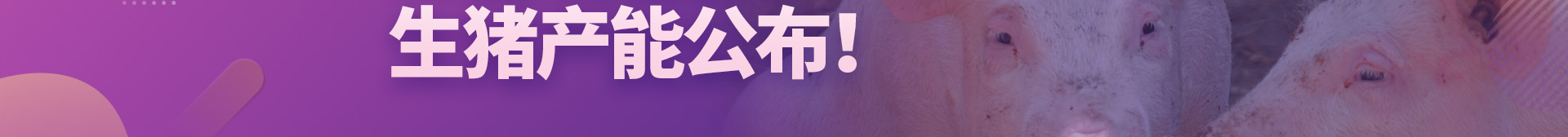 中国电子游艺网站下载安装
