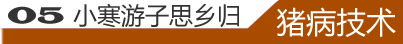 猪病技术