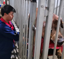 中国电子游艺网站下载安装
