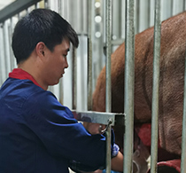 中国电子游艺网站下载安装
