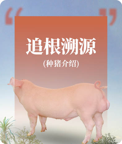 中国电子游艺网站下载安装
