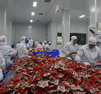 中国电子游艺网站下载安装
