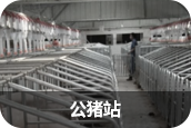 中国电子游艺网站下载安装
