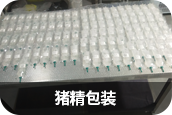 中国电子游艺网站下载安装
