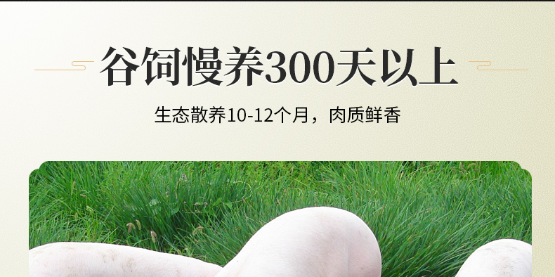 中国电子游艺网站下载安装
