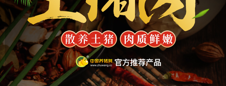 中国电子游艺网站下载安装
