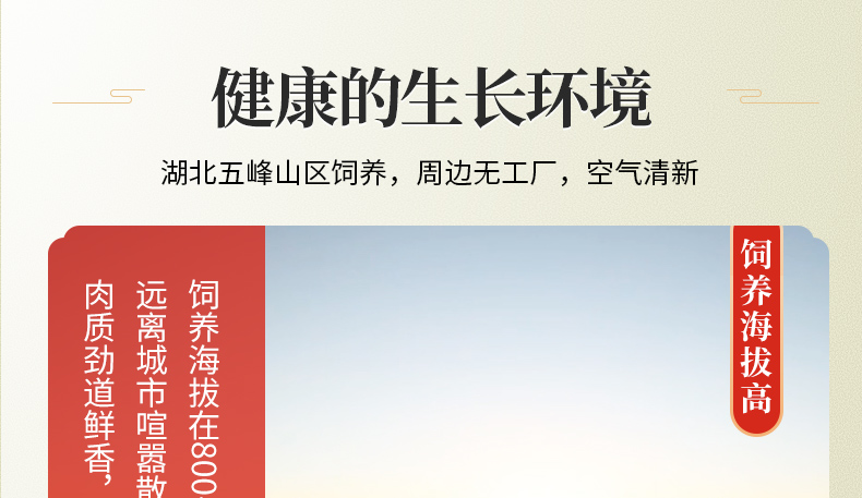 中国电子游艺网站下载安装
