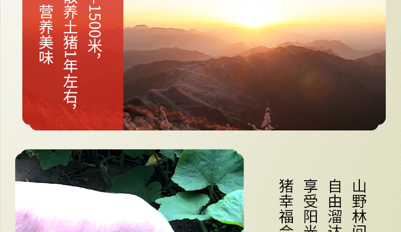 中国电子游艺网站下载安装
