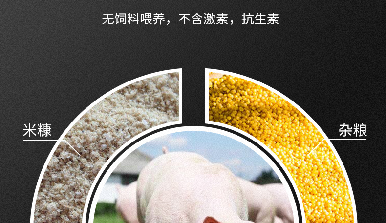 中国电子游艺网站下载安装

