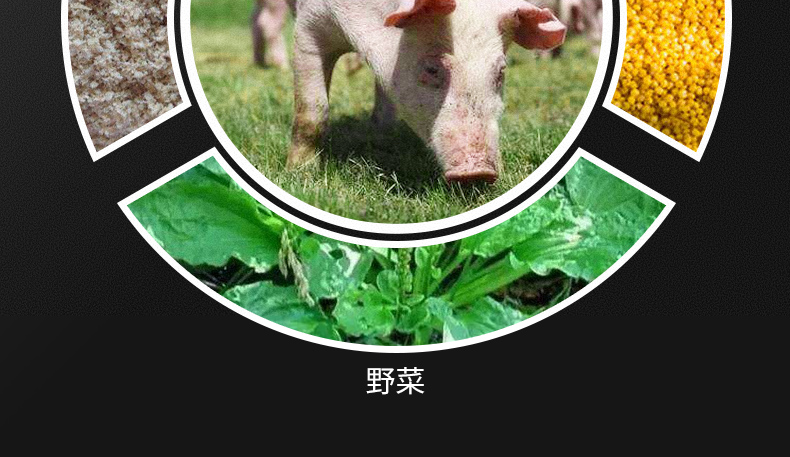 中国电子游艺网站下载安装
