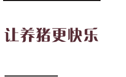 使命