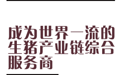 愿景