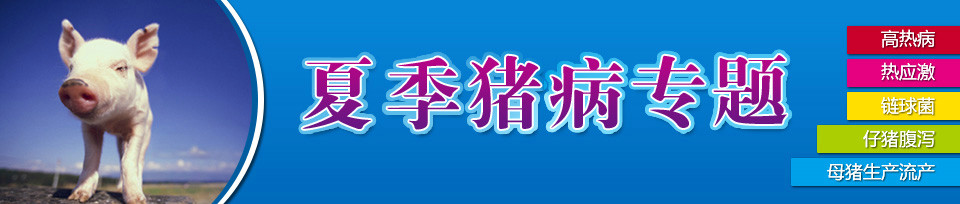 打击假冒伪劣商品,维护消费者合法权益-中国电子游艺网站下载安装
专题