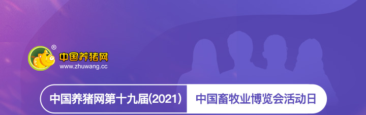 中国电子游艺网站下载安装