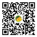 中国电子游艺网站下载安装