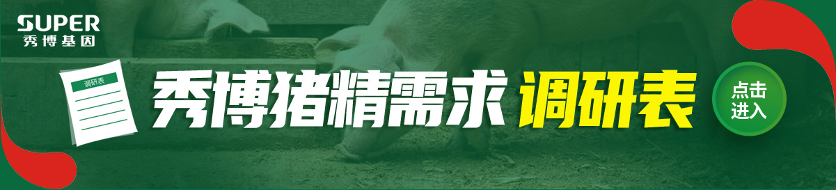 中国电子游艺网站下载安装
