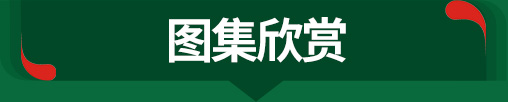 图集欣赏