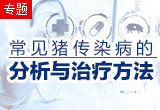 常见猪传染病的分析与治疗方法