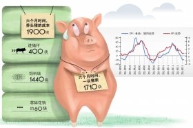 生猪“生意”为什么越来越难做