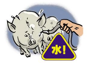 “注水电子游艺平台
”横行且屡禁不止的真正原因