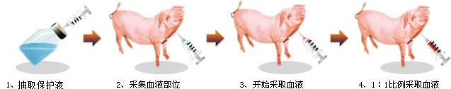 血液采集