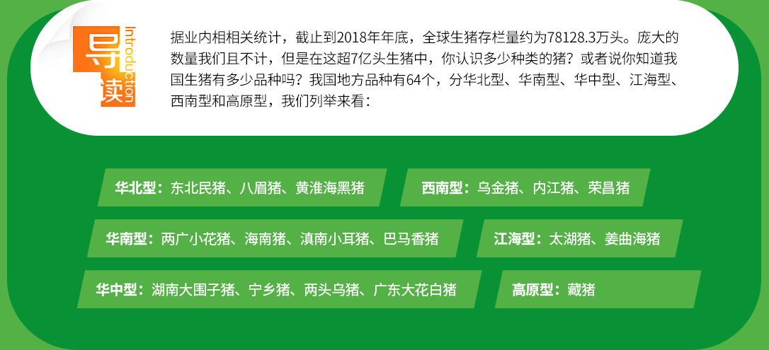 导读