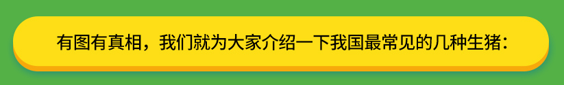 有图有真相