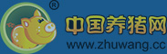 中国电子游艺网站下载安装
