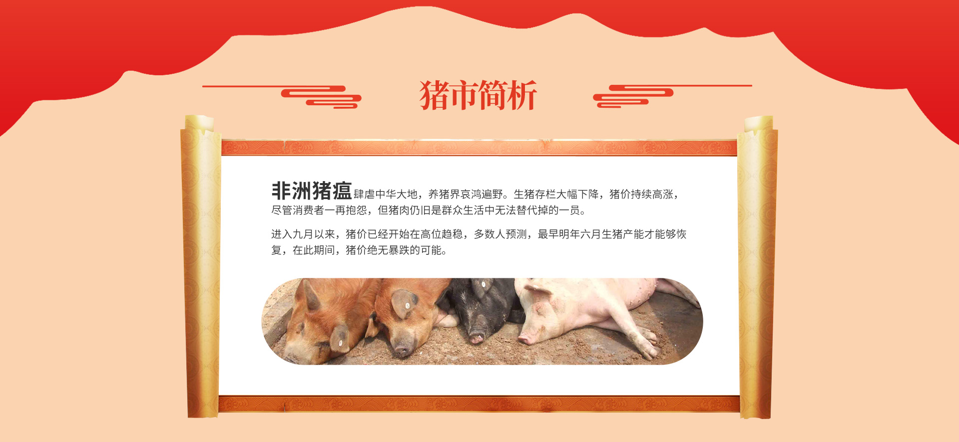 猪市简析