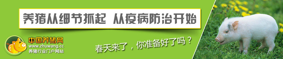 养猪从细节抓起,猪病从预防开始-中国电子游艺网站下载安装
专题
