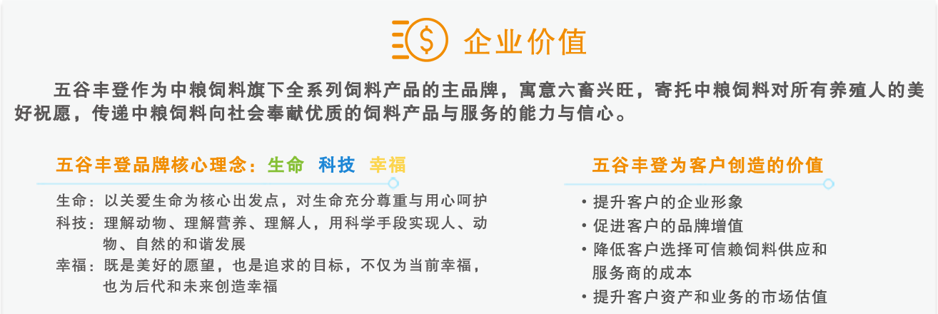企业价值