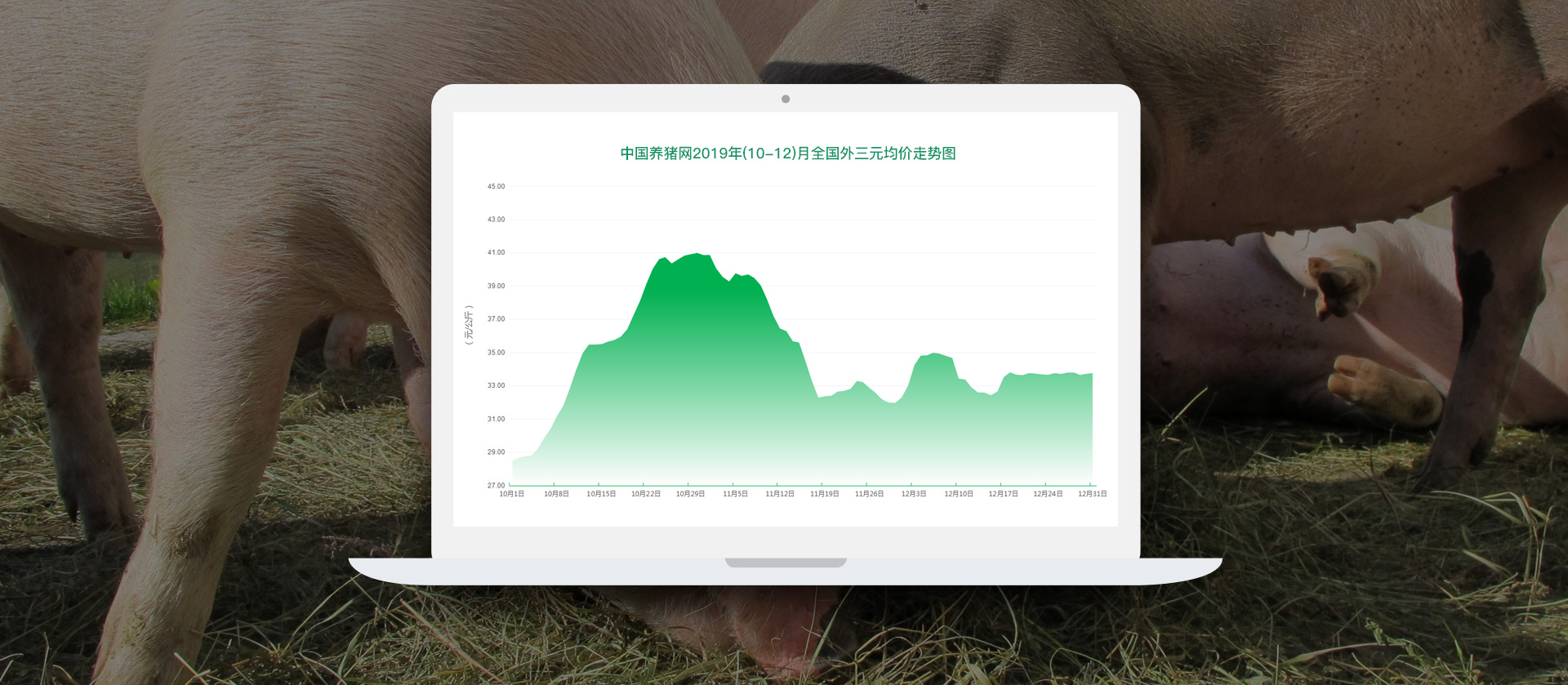 这里是第一场图片