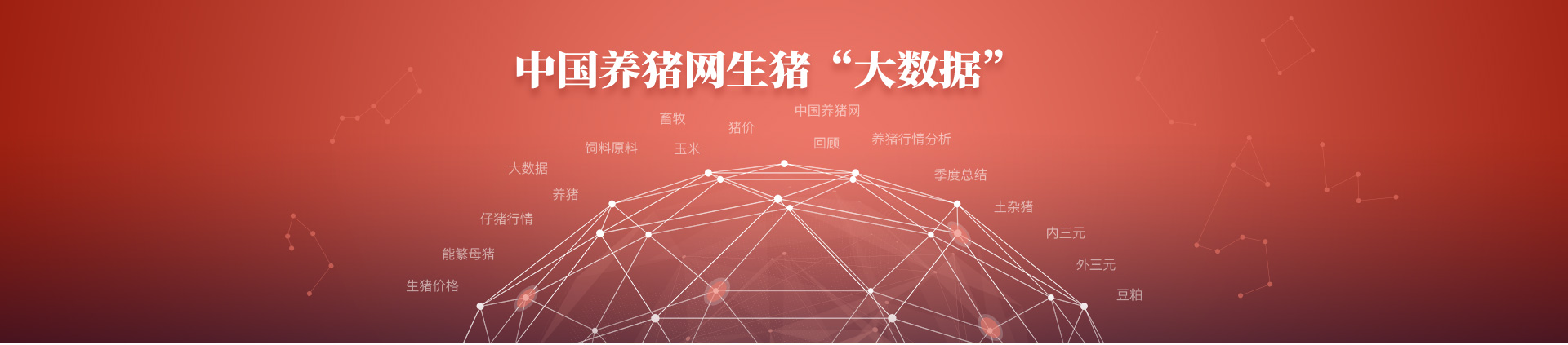 中国电子游艺网站下载安装
生猪大数据