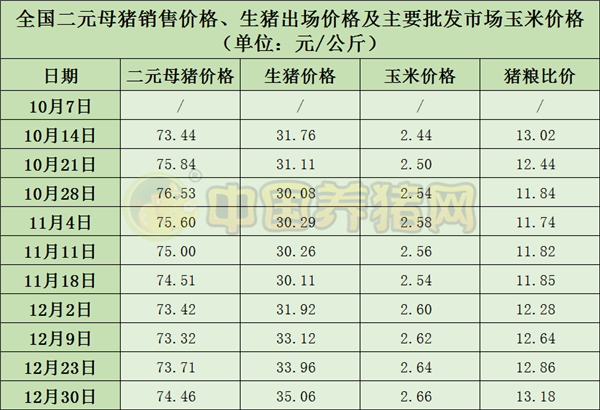 中国电子游艺网站下载安装
