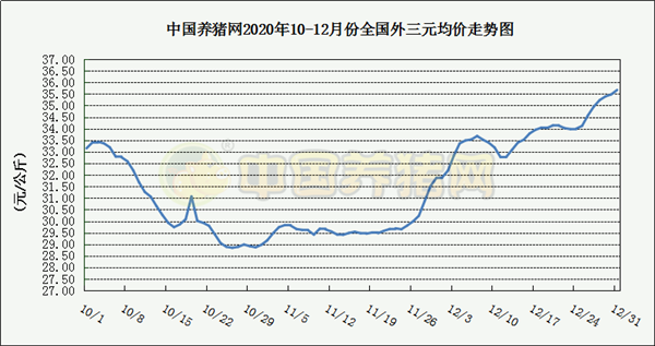 中国电子游艺网站下载安装
