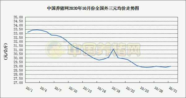 中国电子游艺网站下载安装
