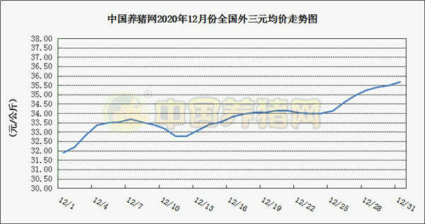中国电子游艺网站下载安装
