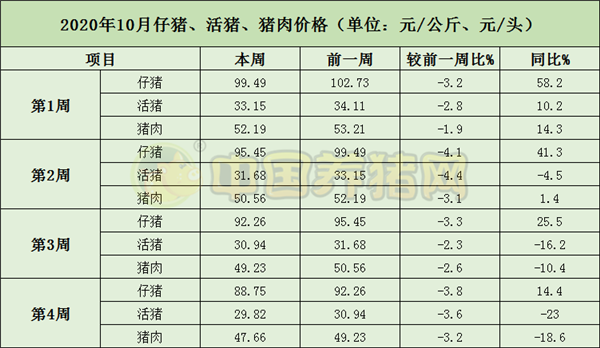 中国电子游艺网站下载安装

